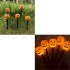 Halloween Pumpkin Stake Lights Outdoor Waterproof Garden Pumpkin Lights Halloween Decoration For Garden Patio Yard Battery box Oval