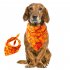 Halloween Series Printing Triangular Scarf for Pet Dogs Wear 02 yellow happy Halloween