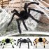 Halloween Simulate Spider Hanging Pendant for Halloween Bar Haunted House Prop Indoor Outdoor Decoration 1 5 m black spider
