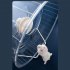 Hamster Exercise Wheel Acrylic Running Wheel Exerciser Chinchilla Treadmill Ultra Quiet Exercise Wheel Hamster Running Wheel For Gerbils Sugar Gliders Squirrels