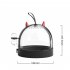Hamster Portable Transparent Cage With Silicone Handle 180 Degree Side Rotatable Travel Carrier For Golden Bear Purple