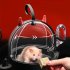 Hamster Portable Transparent Cage With Silicone Handle 180 Degree Side Rotatable Travel Carrier For Golden Bear Purple