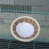 Hand Weaving Bird Nest for Serinus Canaria Canary Breeding hemp rope large