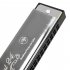 Harmonica Key Of C 24 Holes Professional Harmonica Performance Competition Mouth Organ With Hard Box Cleaning Cloth For Professionals Students Beginners silver