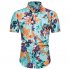 Hawaii Beach Wear Leisure Shirt of Short Sleeves and Turn down Collar Casual Top for Man CS162 L