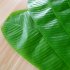 Hawaii Green Banana Leaf Shape Placemat Tabletop Wall Decoration