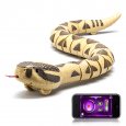 RC Rattlesnake