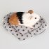 Heart Shape Pet Hamster Mats Soft Plush Guinea pig Cage Cushion Pads Winter Warm Squirrel Hedgehog Rabbit Nest Bed Beige