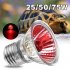Heat Sunlight Lamp UVA UVB for Amphibian Reptiles Birds Snakes Silver 50w