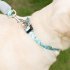 Heavy Duty Dog Rope Leash With Ultra Soft Padded Handle Wear resistant Reflective Dog Leash For Small Medium Large Dogs blue 2 m  L size  thick 1 2cm 