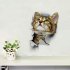 Hole View 3D Cat Wall Sticker Bathroom Toilet Living Room Home Decor Animal Vinyl Decals Poster XH2003