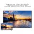 Home Movie Projector has a 34 to 130 inch image size and with native Resolution of 800x480   and inputs for AV  HDMI  VGA  USB  micro SD Card its very versatile