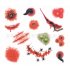 Horrible Halloween Tattoo Sticker Scar Design Temporary Tattoo Sticker 4 15 21cm