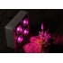 Horti Grower LED grow light has four 40W integrated LED chip on board lights  each with a dedicated fan and can cast light from the 450nm to 660nm wavelength