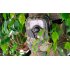 Hunting Camera featuring Motion Detection  PIR Sensor and Night Vision makes this the perfect scout to keep an eye on your potential prey