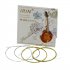 IRIN M101 Mandolin Strings Set Silver Plated Stainless Steel Copper Alloy Wound  Gold   silver