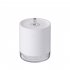 Induction Sprayer Air Humidifier Portable USB Charging Contact Free Mist Maker white