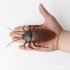 Infrared Remote Control Electric Cockroach Toys Simulation Induction Fake Cockroach Spider Ant Animal Tricky Props 9915 spider 149 grams
