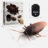 Infrared Remote Control Electric Cockroach Toys Simulation Induction Fake Cockroach Spider Ant Animal Tricky Props 9917 Ant 200g 0 28kg