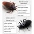 Infrared Remote Control Electric Cockroach Toys Simulation Induction Fake Cockroach Spider Ant Animal Tricky Props 9917 Ant 200g 0 28kg