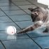 Interactive Cat Toy Ball Usb Rechargeable Automatic Rotating Electronic Pet Toy Rechargeable red Approximately 6 4cm in diameter