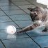 Interactive Cat Toy Ball Usb Rechargeable Automatic Rotating Electronic Pet Toy Rechargeable white Approximately 6 4cm in diameter