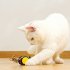 Interactive Cat Toys For Indoor Cats Automatic Electric Honeybee Touch Moving Rechargeable Car Toy With Feather Pet Supplies Pink 1pc