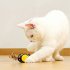 Interactive Cat Toys For Indoor Cats Automatic Electric Honeybee Touch Moving Rechargeable Car Toy With Feather Pet Supplies Pink 1pc