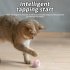 Interactive Cat Toys Smart Interactive Cat Toy Ball Automatic Moving Cat Ball Toys Touch Control Cat Toys Rechargeable Moving Robotic Cat Toy Bite Resistant Rel