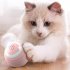 Interactive Cat Toys Smart Interactive Cat Toy Ball Automatic Moving Cat Ball Toys Touch Control Cat Toys Rechargeable Moving Robotic Cat Toy Bite Resistant Rel
