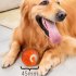 Interactive Dog Ball  Moving Dog Ball With TPE Shell  5 minute Sleep  Smart Wake up  Random Escape Route  Automatic Obstacle Avoidance  Self Rolling Dog Ball bl