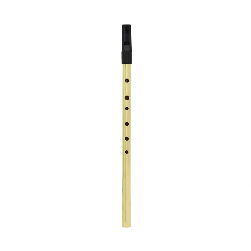 Irish Whistle Flute D Key Ireland Flute 6 Hole Musical Instrument  Gold