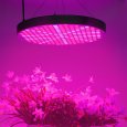 50Watt LED Grow Light