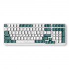 K3 Mechanical Keyboard 100 Keys Rgb Backlight Usb Type-c Wired Gaming Keyboard