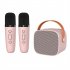 Karaoke Machine Portable Bluetooth Speaker with Wireless Microphone Music Mp3 Player for Boys Girls Gift Pink 1 to 1