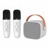 Karaoke Machine Portable Bluetooth Speaker With Wireless Microphone Music Mp3 Player For Boys Girls Gift white 1 to 1