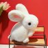 Kawaii Rabbit Plush Doll Cute Cartoon Bunny Soft Stuffed Plush Toy For Kids Gifts Home Decoration white 28 cm   gift bag