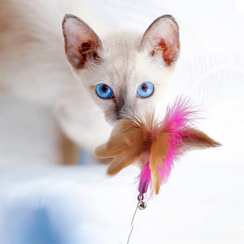 Cat Teaser Stick Pet Collar With Bells Feather Bite-resistant Feather Fishing Rod For Indoor Cats 