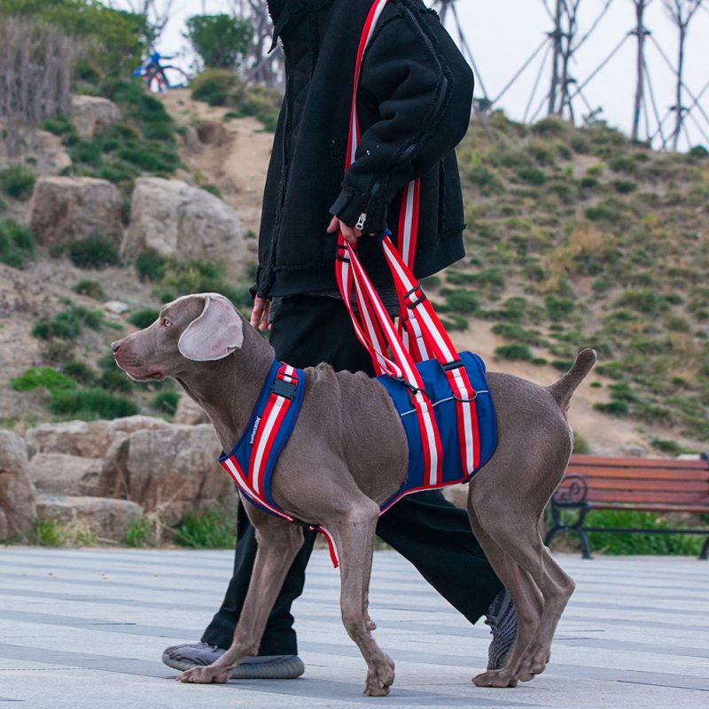 Dog Lift Harness Adjustable Soft Padded Pet Harness Rear Back Legs Helps Dog Lift Sling Carrier Blue L