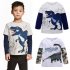 Kids Boys Cartoon Dinosaur Pattern Printing Cotton Long Sleeve T shirt blue dinosaur 2