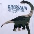 Kids Boys Cartoon Dinosaur Pattern Printing Cotton Long Sleeve T shirt blue dinosaur 4