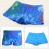 Kids Cartoon Casual Swim Shorts For Beach Vacation Swimming Trunks Bathing Suit For 2 8 Years Old forest dinosaur 7 8Y XXL