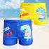 Kids Cartoon Casual Swim Shorts For Beach Vacation Swimming Trunks Bathing Suit For 2 8 Years Old forest dinosaur 7 8Y XXL