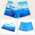 Kids Cartoon Casual Swim Shorts For Beach Vacation Swimming Trunks Bathing Suit For 2 8 Years Old forest dinosaur 7 8Y XXL