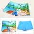 Kids Cartoon Casual Swim Shorts For Beach Vacation Swimming Trunks Bathing Suit For 2 8 Years Old surfing dinosaur 7 8Y XXL