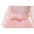 Kids Girls Long Sleeve Lace Formal Princess Dress for Wedding Party Wear Pink 160