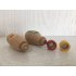 Kids Kitchen Bottle Imitation Toy Kitchen Wooden Seasoning Jar Toy  Present