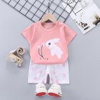 Kids T-shirt Set Fashion Cartoon Printing Short Sleeves Shirt Shorts Summer Cotton Clothing Suit For Kids Aged 0-5 bunny 3-4Y 100-110cm