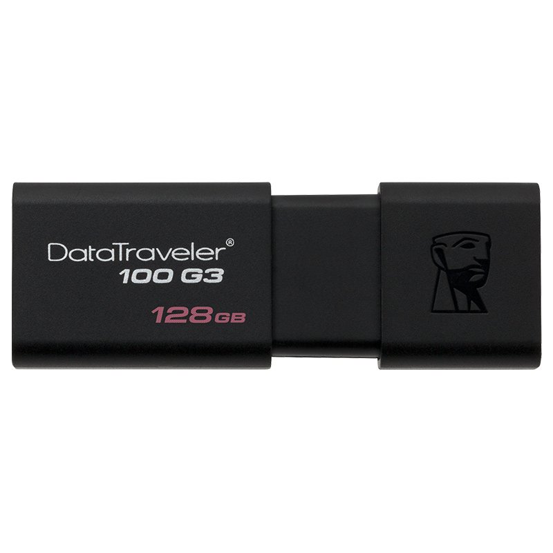 Kingston DT100G