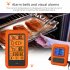 Kitchen Digital Meat Cooking Thermometer Wireless Remote Control With 2 Probes For Oven Bbq Grill TS TP20